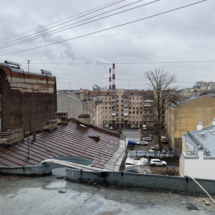 Типичный зимний Петербург