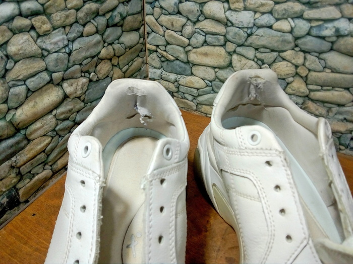     Tamaris -     , , 