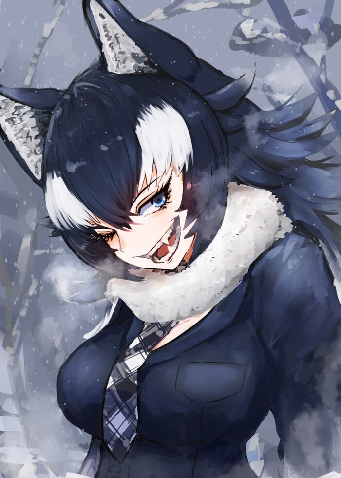   , Anime Art, Grey Wolf, Kemono Friends