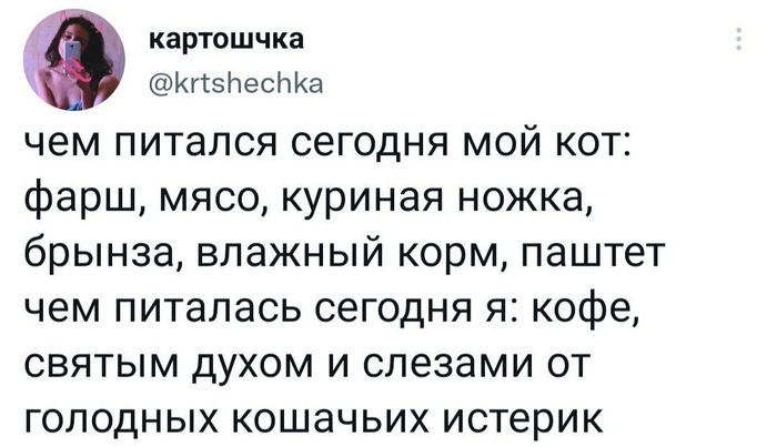 Записки кошатников