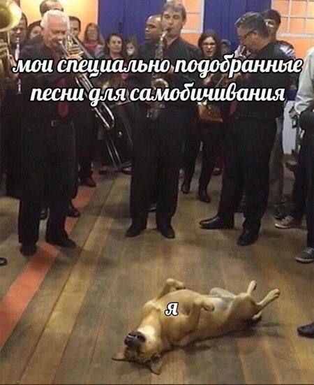 ������ ��������