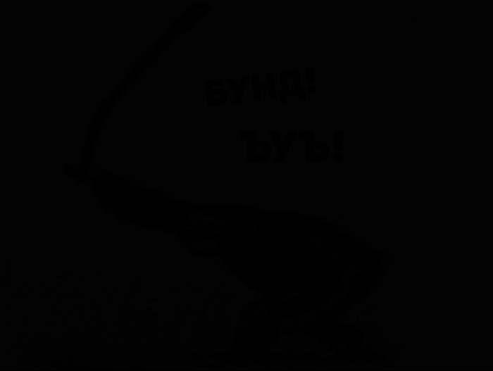 ����� �� ���� ��������