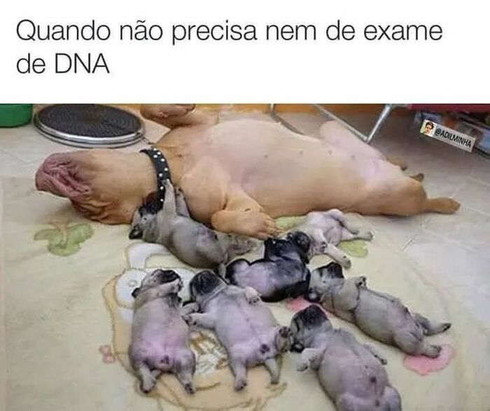       ,  , , ,   ,  