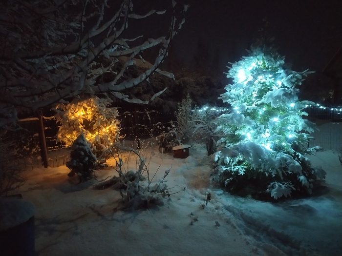 Новый год прошёл, красота осталась