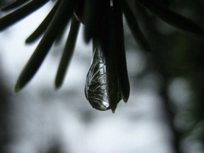 Случайный кадр по пути домой, без этих ваших манулов, сисек и прочих квадратов