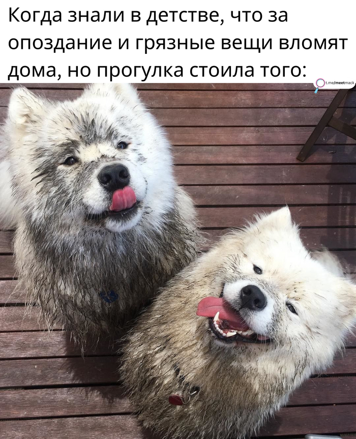 �������� � ������