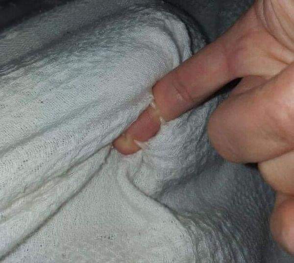 Новый вид монстра