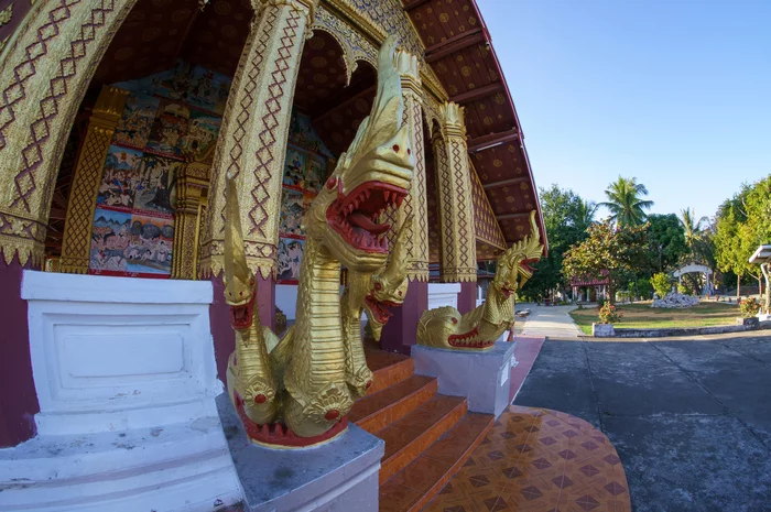 Как мы ездили из Москвы до Куала-Лумпура на общественном транспорте. Часть 4 Поездка, Туризм, Отпуск, Азия, Фотография, Путешествия, Длиннопост