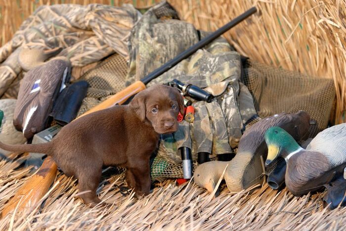 � ��������� ������� ������ �������� ���������� ������