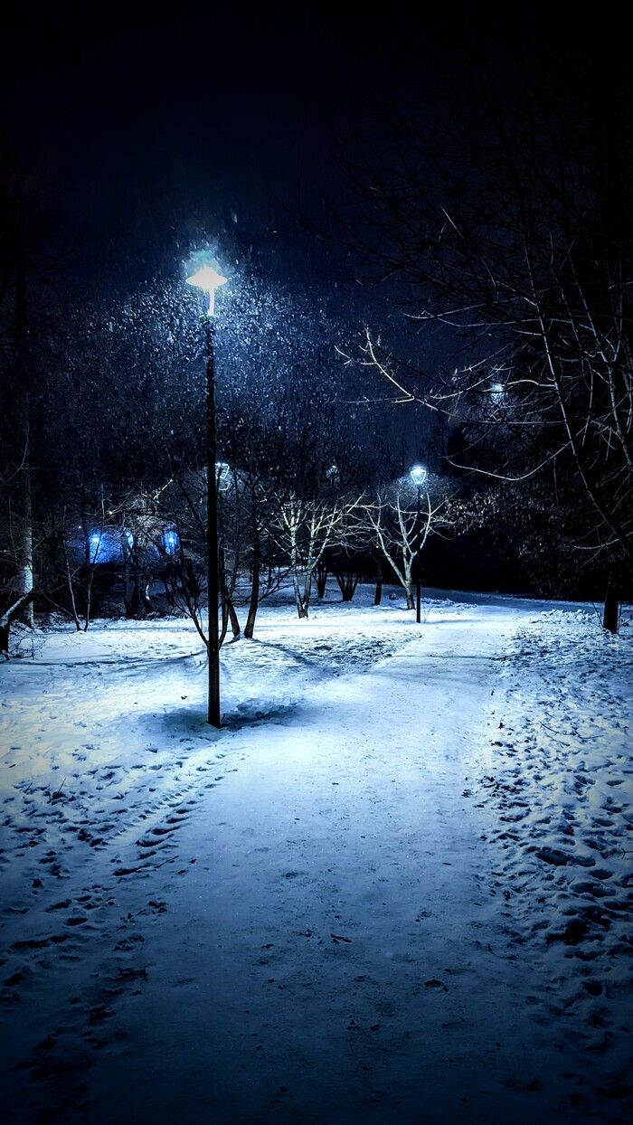 Ночь перед рассветом