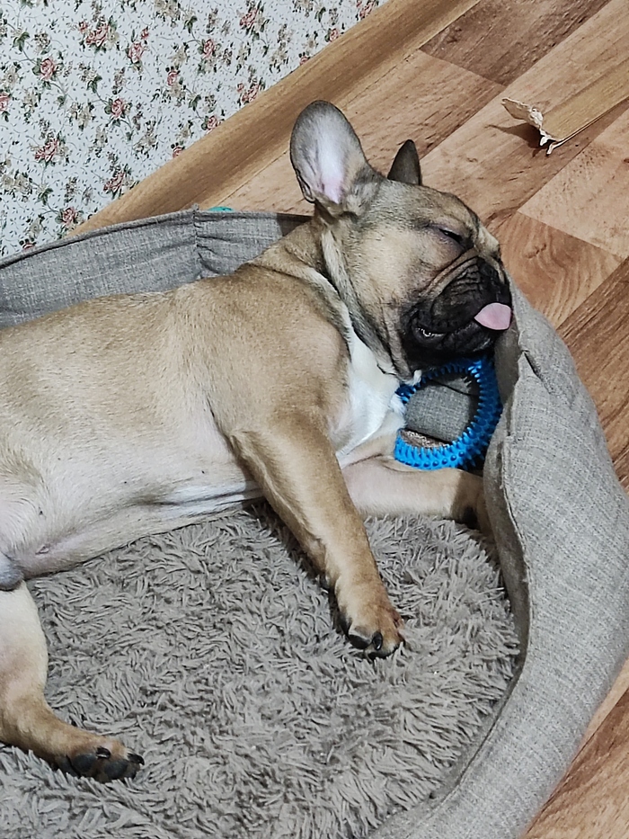     ?  ,,      .          ?