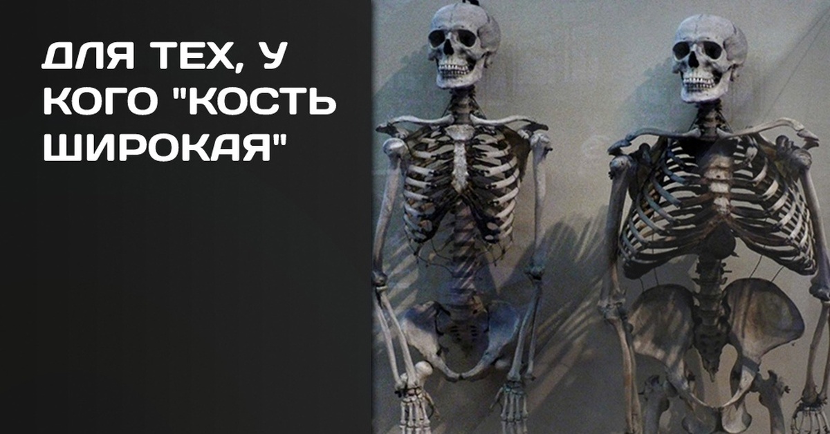 Широкая кость лица. Масса скелета человека. Скелет с широкой костью. Широкая кость миф или реальность.