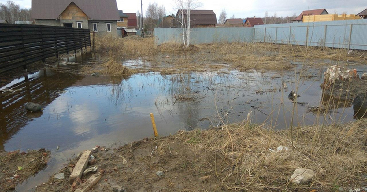 Высокий уровень грунтовых вод. Лужи на участке. Талые воды на участке. Застой воды на участке. Подтопление грунтовыми водами.