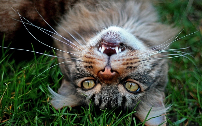 А над головой — распахнутое настежь небо!