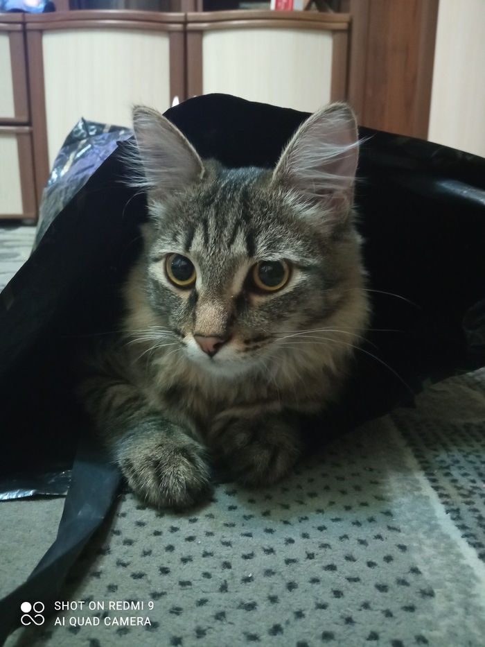 Житель страны Пакетия