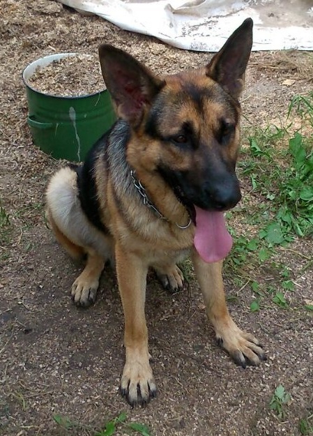 ���� ������� ���� ������������?