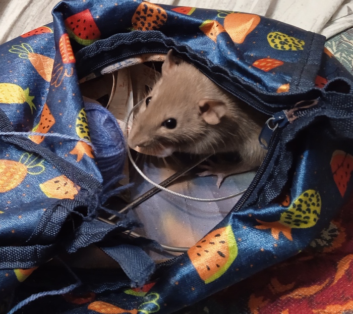 И что у нас тут?