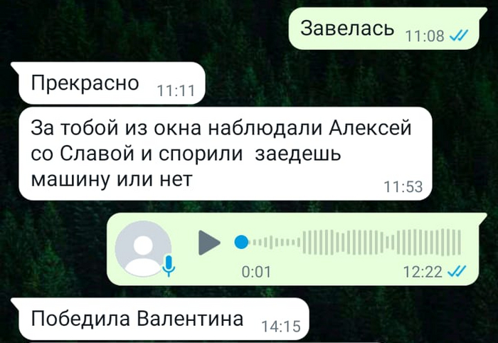 Люди нашего двора. Зрители Истории из жизни, Рассказ, Снег, Снегопад, Зима, Машина, Юмор, Соседи