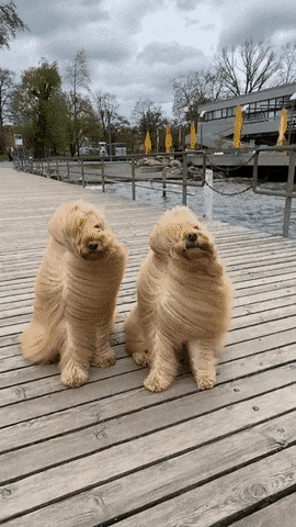   , , , 