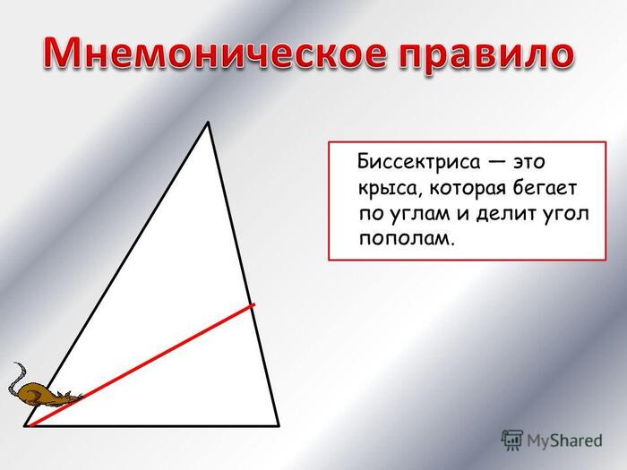 Биссектриса угла картинка