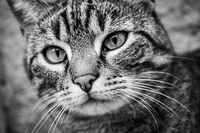 �������� #2