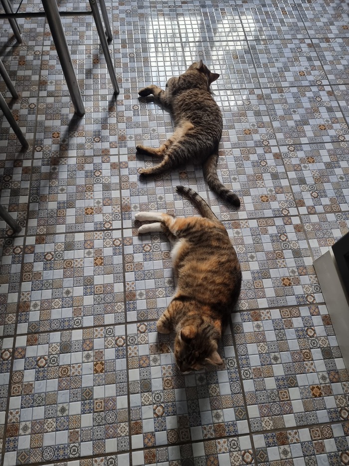 Синхронизация "дай пожрать"