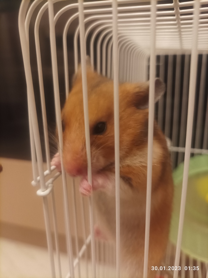      ,  ,  
