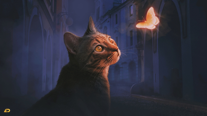 Создал арт в Photoshop со светящейся бабочкой и котом