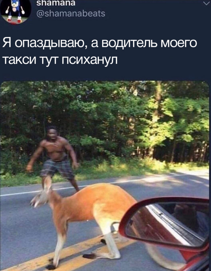 ������ �� �������