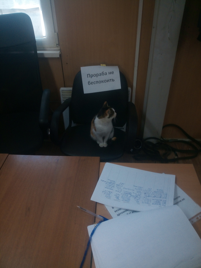 ������� �������