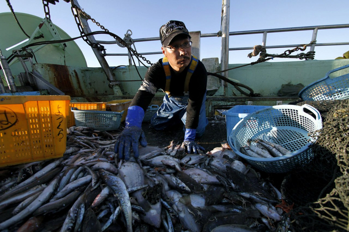 Япония сочла неприемлемой позицию России по рыбному промыслу у Южных Курил Политика, Япония, Рыболовство, Россия