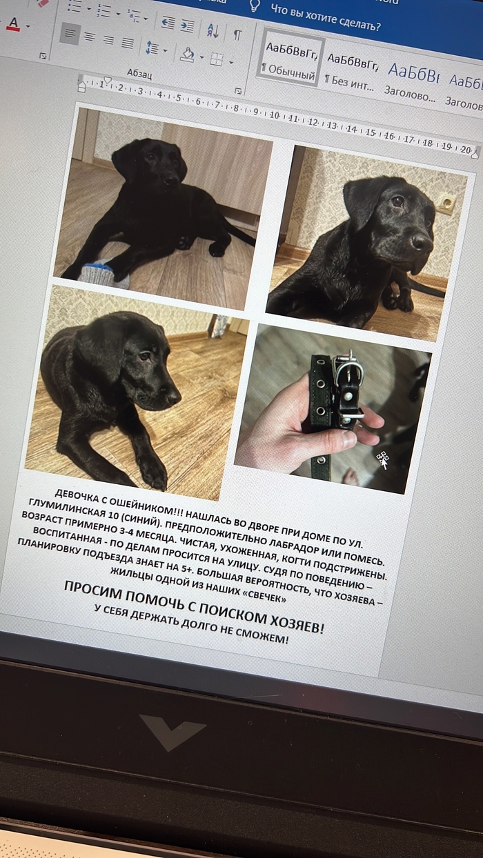 Помогите красотке найти хозяев (Уфа)