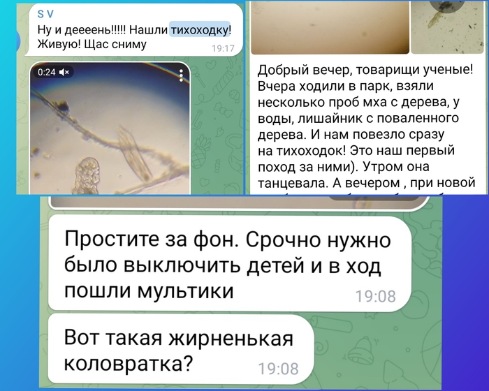 Кого зимой изучать под Микроскопом? Тихоходок! Микроскоп, Тихоходка, Биология, Видео, Вертикальное видео, Длиннопост