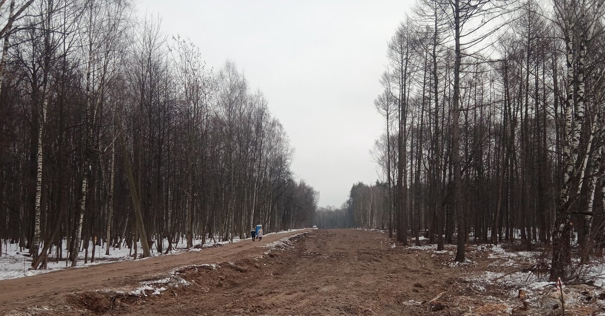 Дорога в королев через лосиный остров