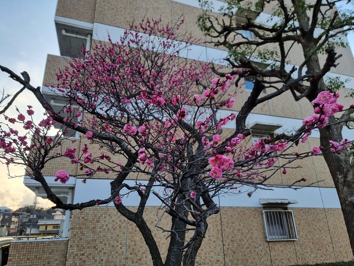 ����� ���������� � ������