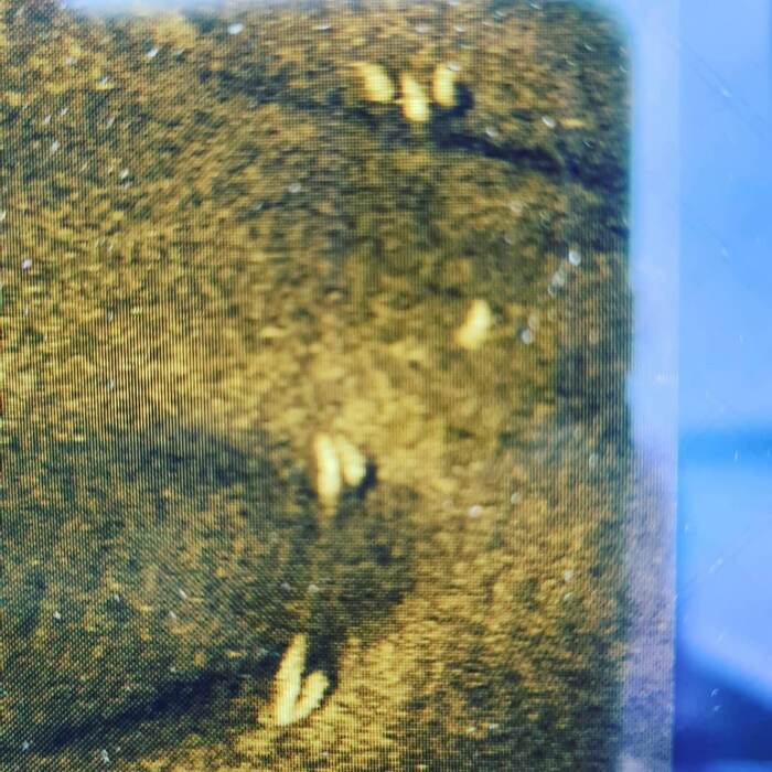 ��� ����� ���������� ������ ))