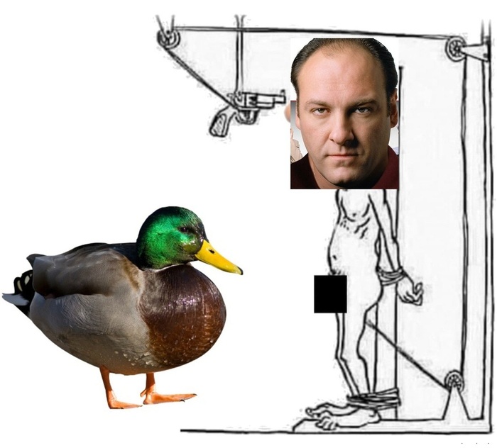 Тони Сопрано и Утки , у психолога