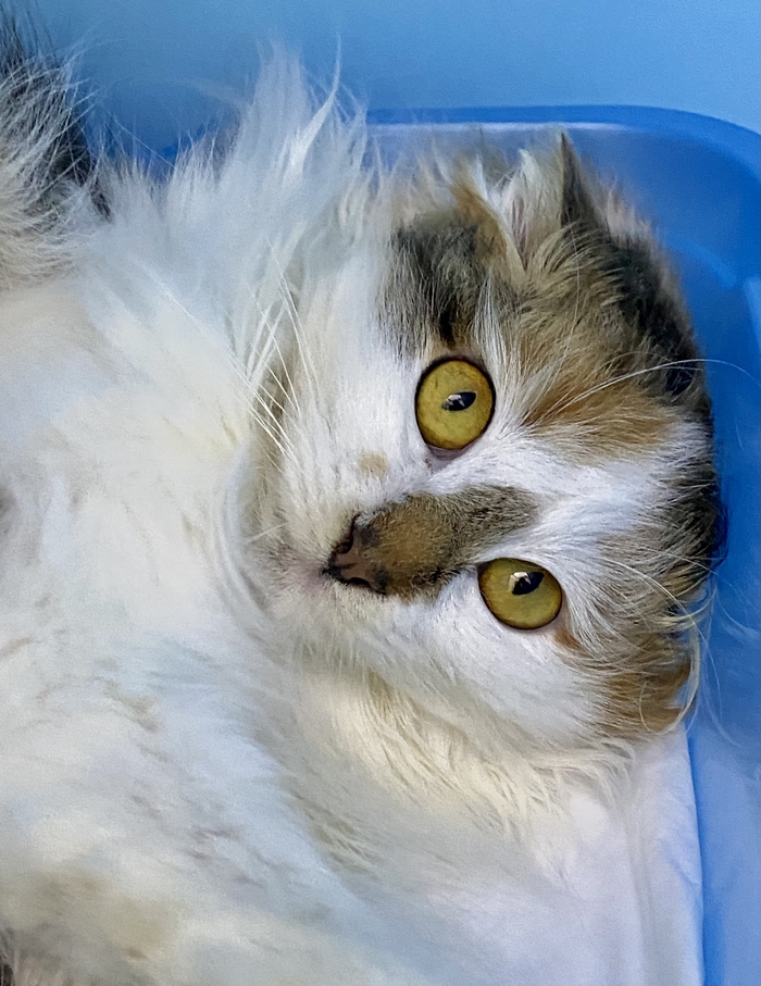      , ,  ,   , , ,  ,  , ,  , ,  , 