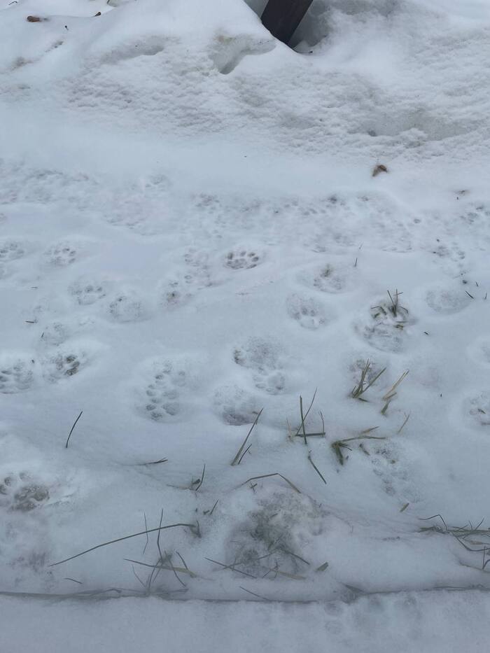 Тимофей все активней