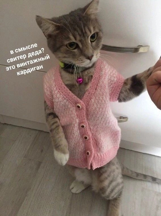 -.     ? .2  , -, ,  , , ,   