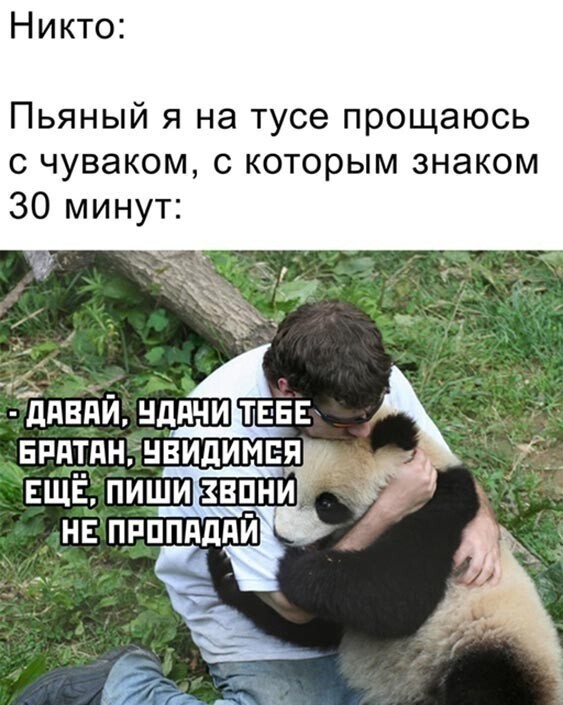 Друзья навеки