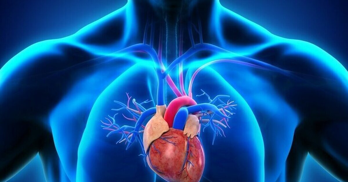 Как питание влияет на здоровье сердца - КИТ