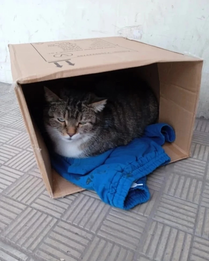    ,  ,  ,  ,  , ,  , 