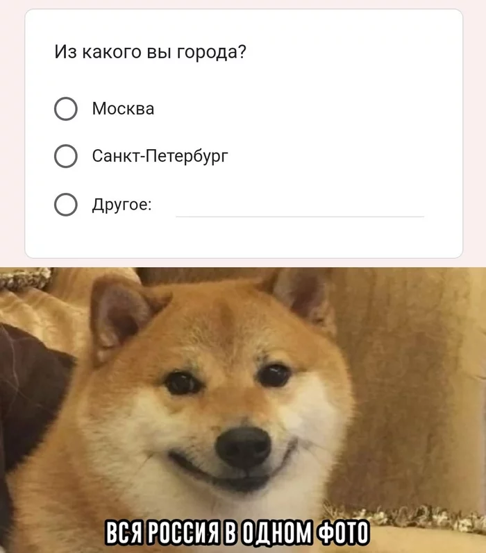 167535783526270570.webp