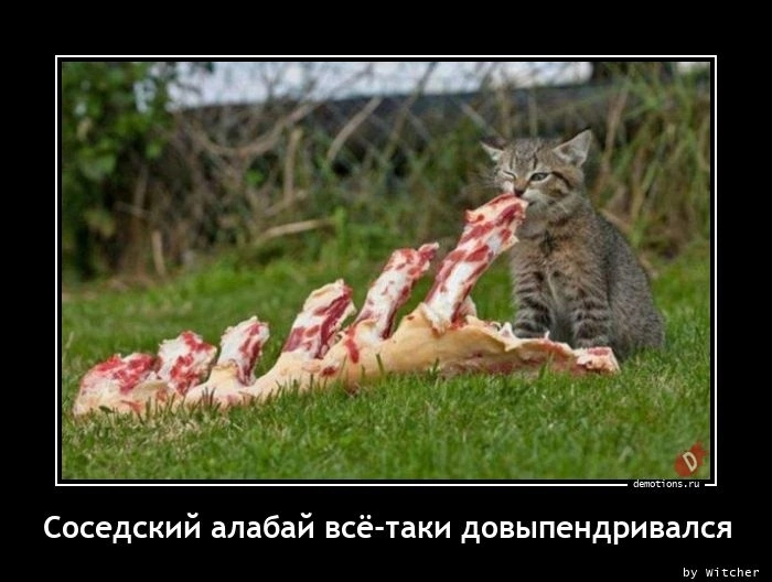 Ты не ты когда голоден