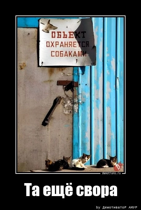 Идеальные охранники