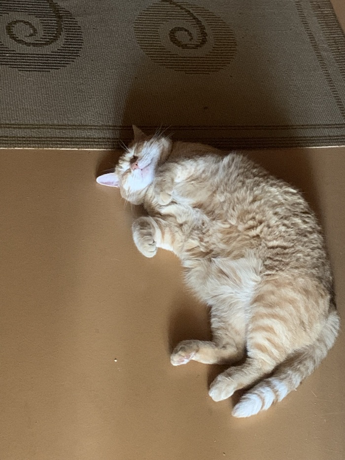 ������-> ����������, 10���, �������� ������ �����������