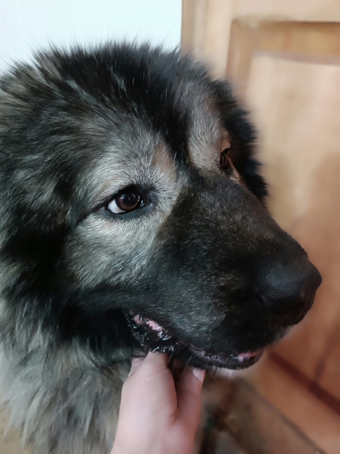 ��� � ������ �������� ������