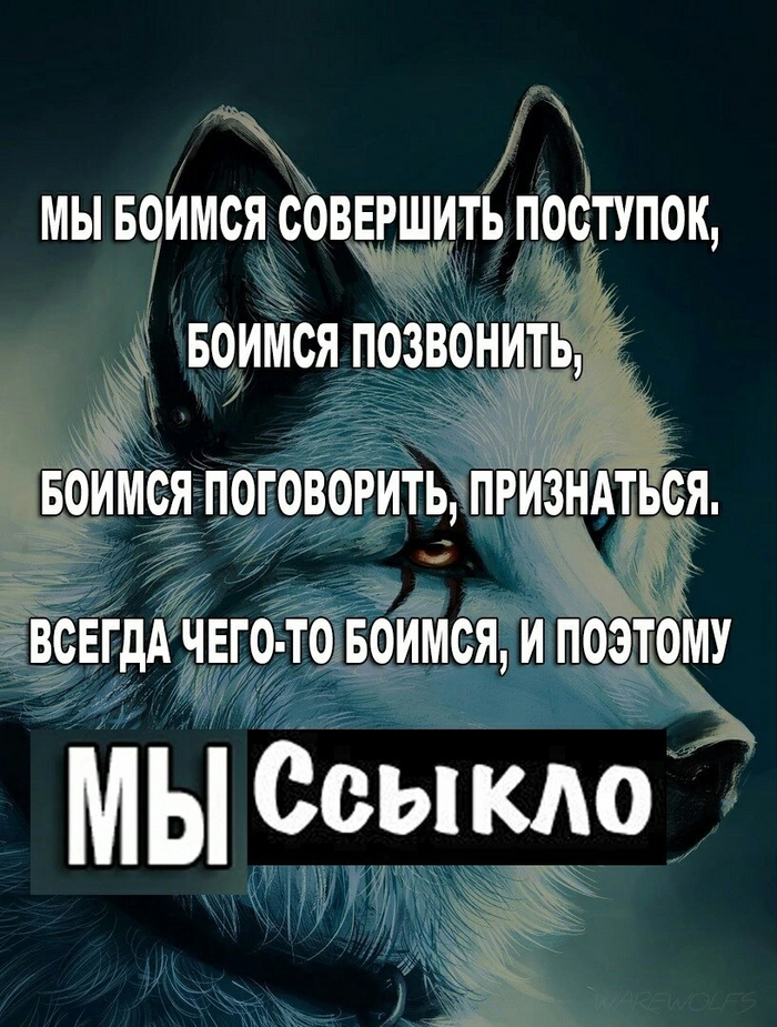 �����: "� ���� ����� �������"