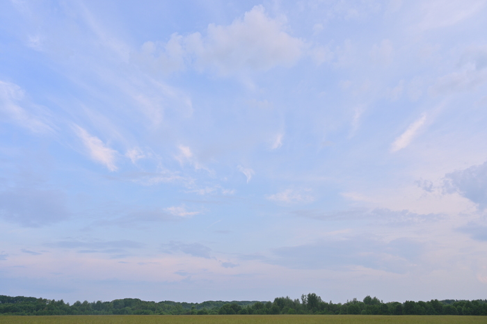 Летнее утро в Тверской области